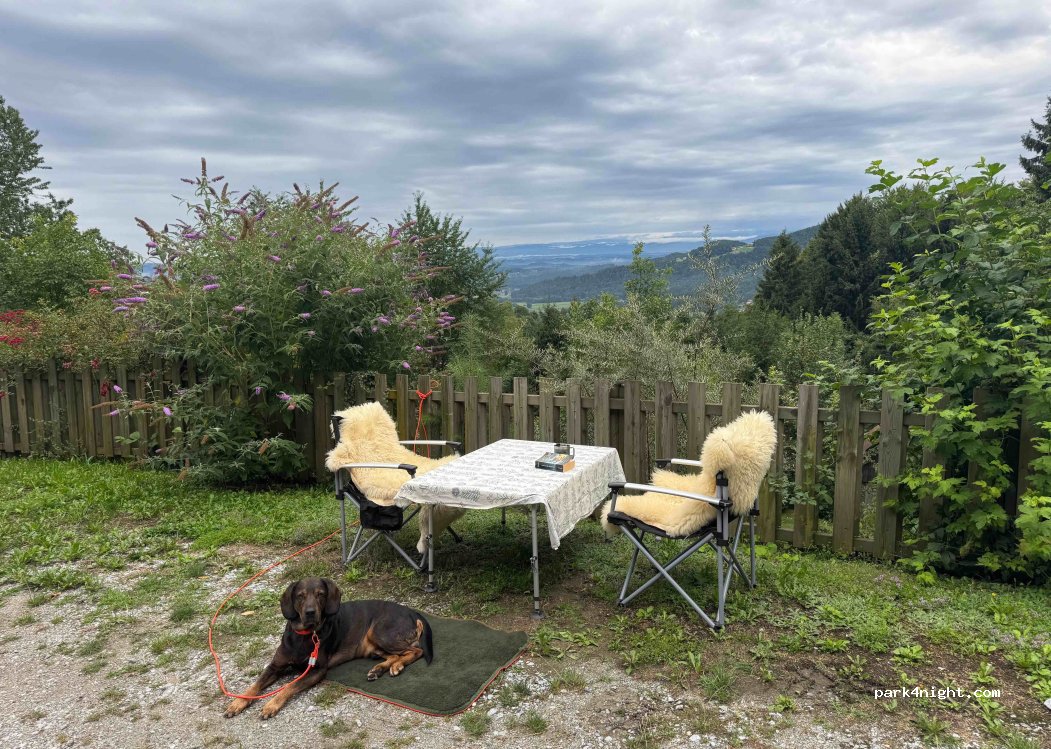 (8511) Greisdorf - 160 Greisdorf — foto 5