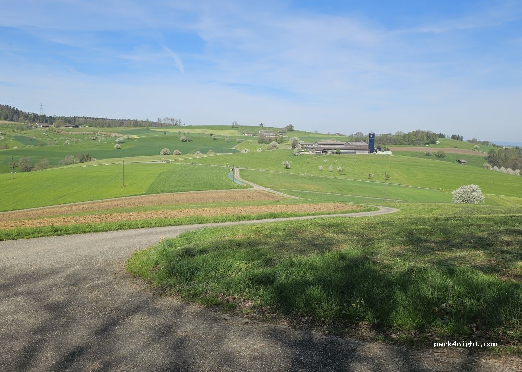 (4465) Hemmiken - 89 Zelgli — foto 2