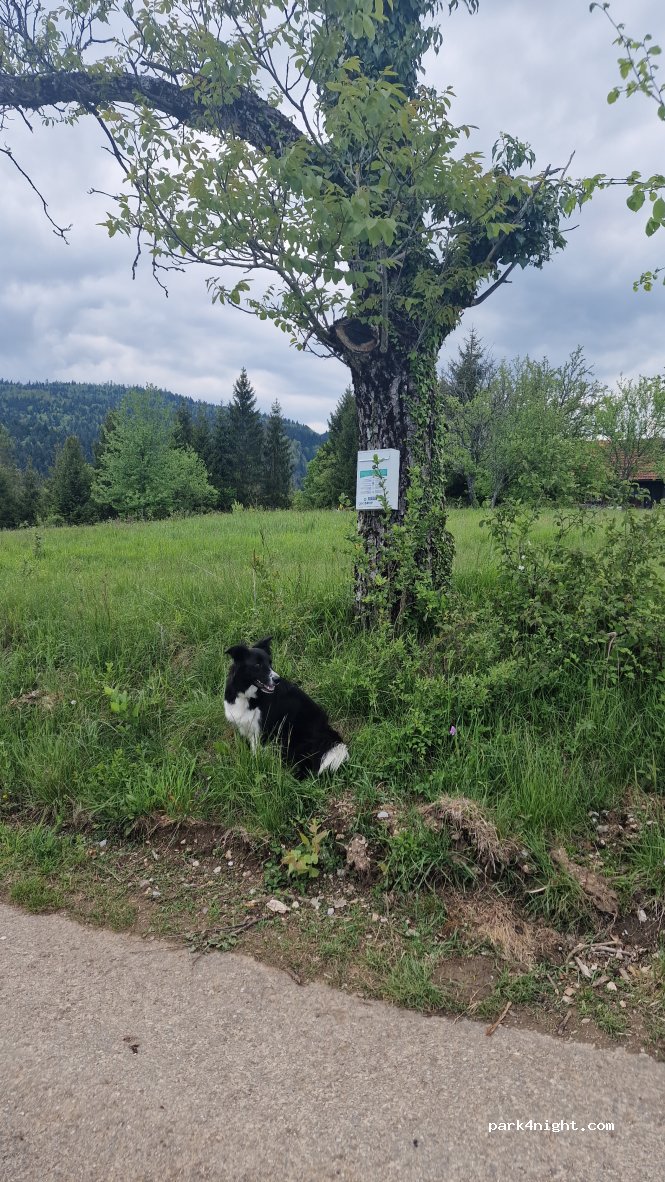 geoSPOT — foto 5