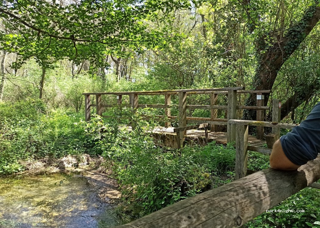 (38270) Beaufort - 1 Chemin du Bief de la Cour — foto 4