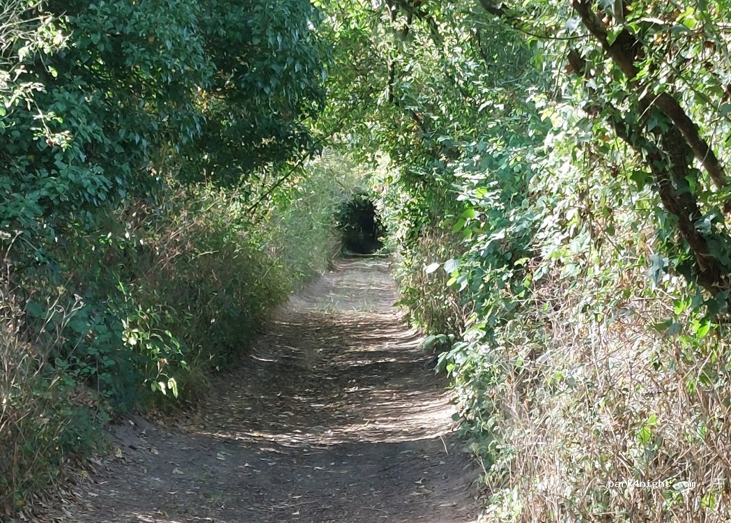 (86260) Angles-sur-l'Anglin - 1 Moulin de Remerle — foto 3