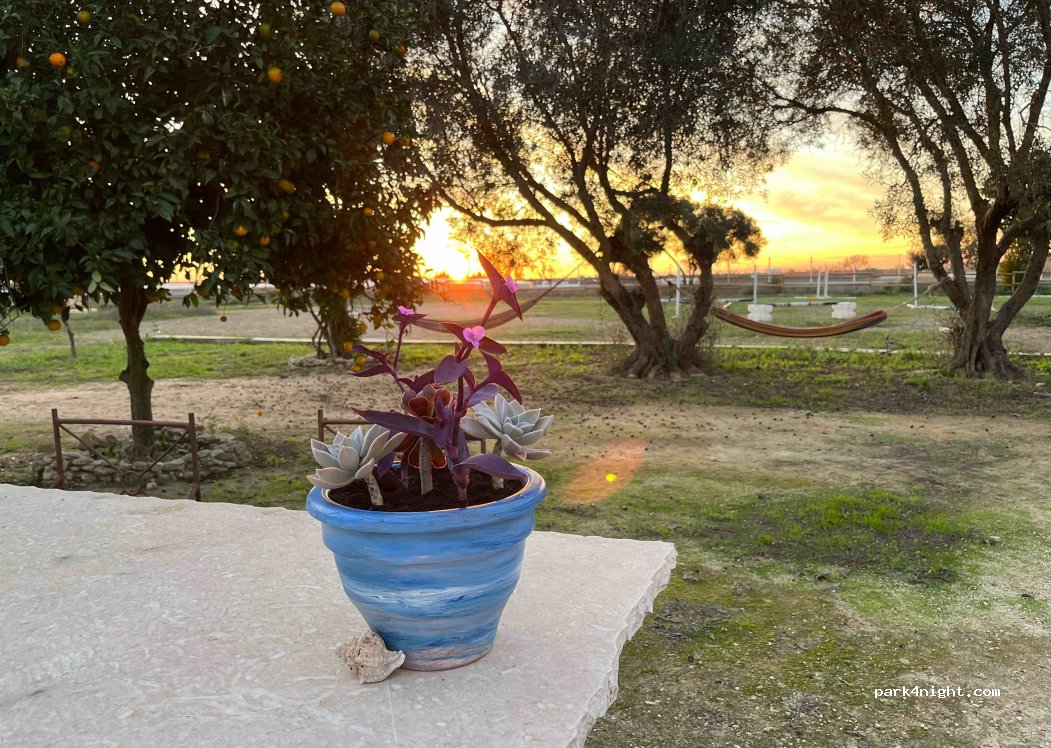 Finca Noblessa — foto 2