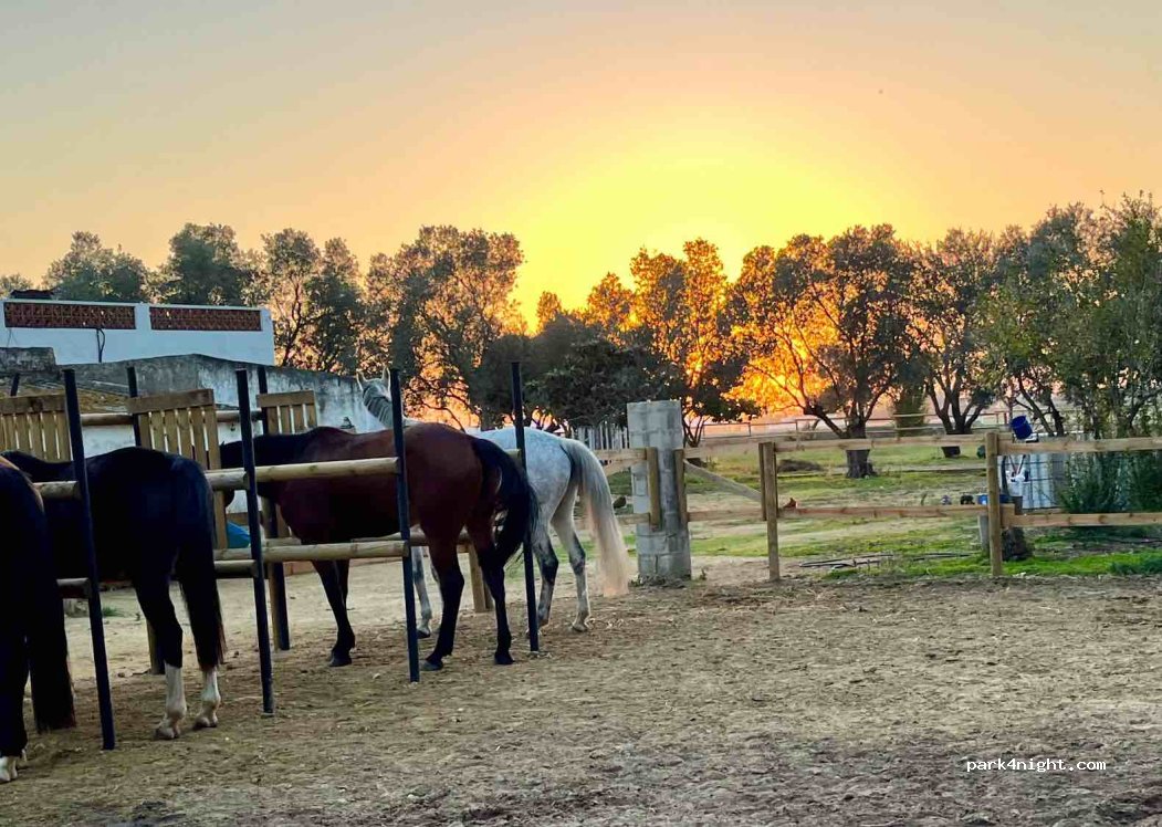 Finca Noblessa — foto 3