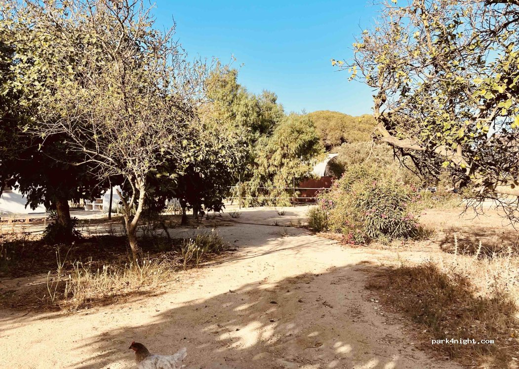 Finca Noblessa — foto 4