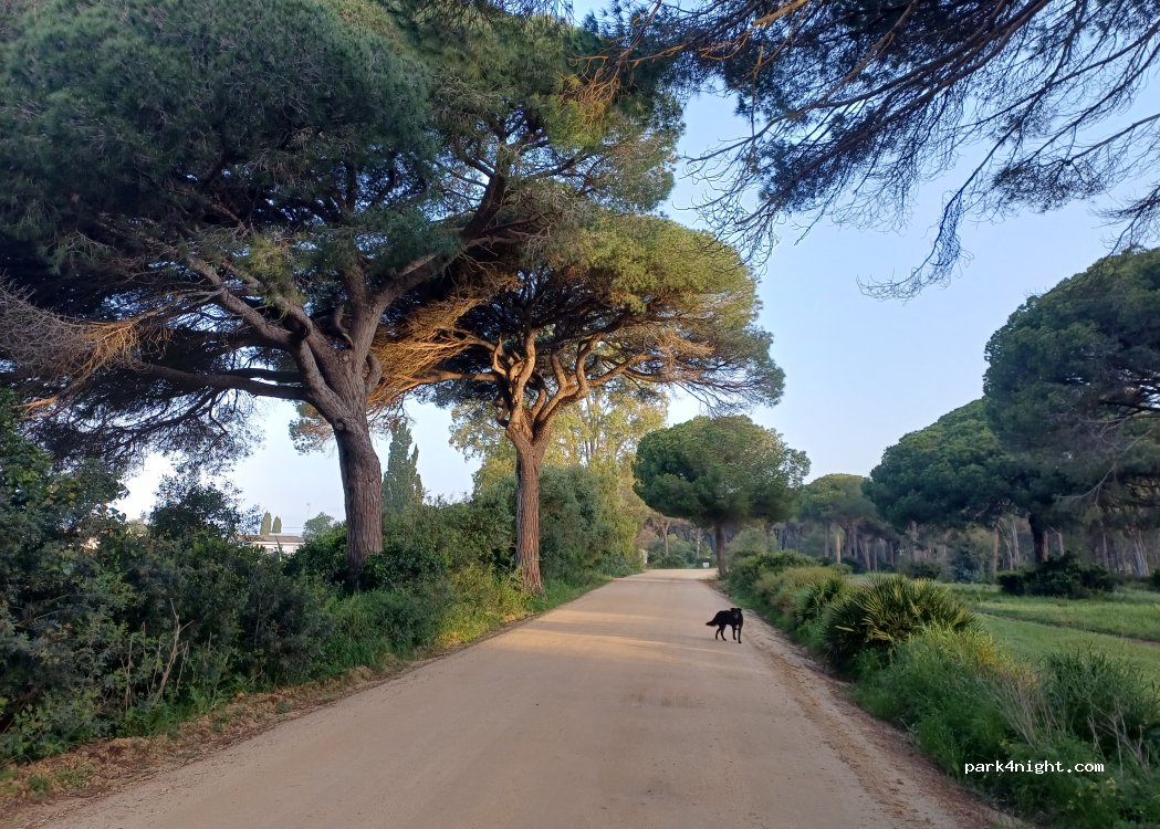 Finca Noblessa — foto 5