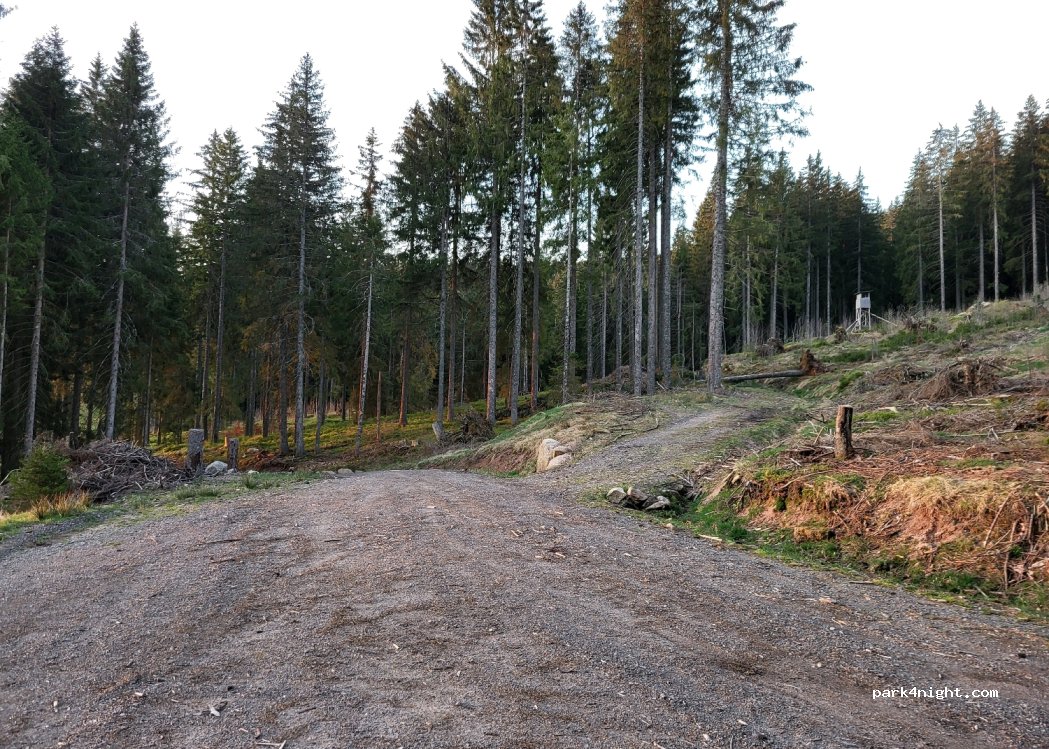 (79868) Feldberg (Schwarzwald) - 21 Neuglashüttener Straße — foto