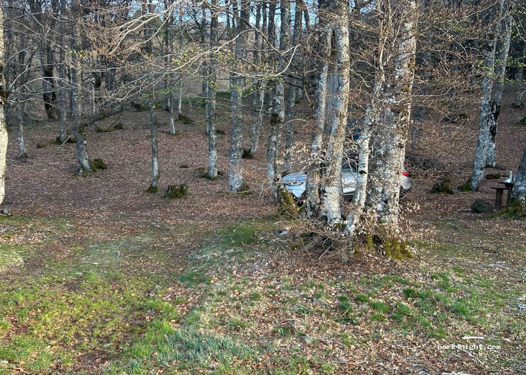 (63113) Picherande - — foto