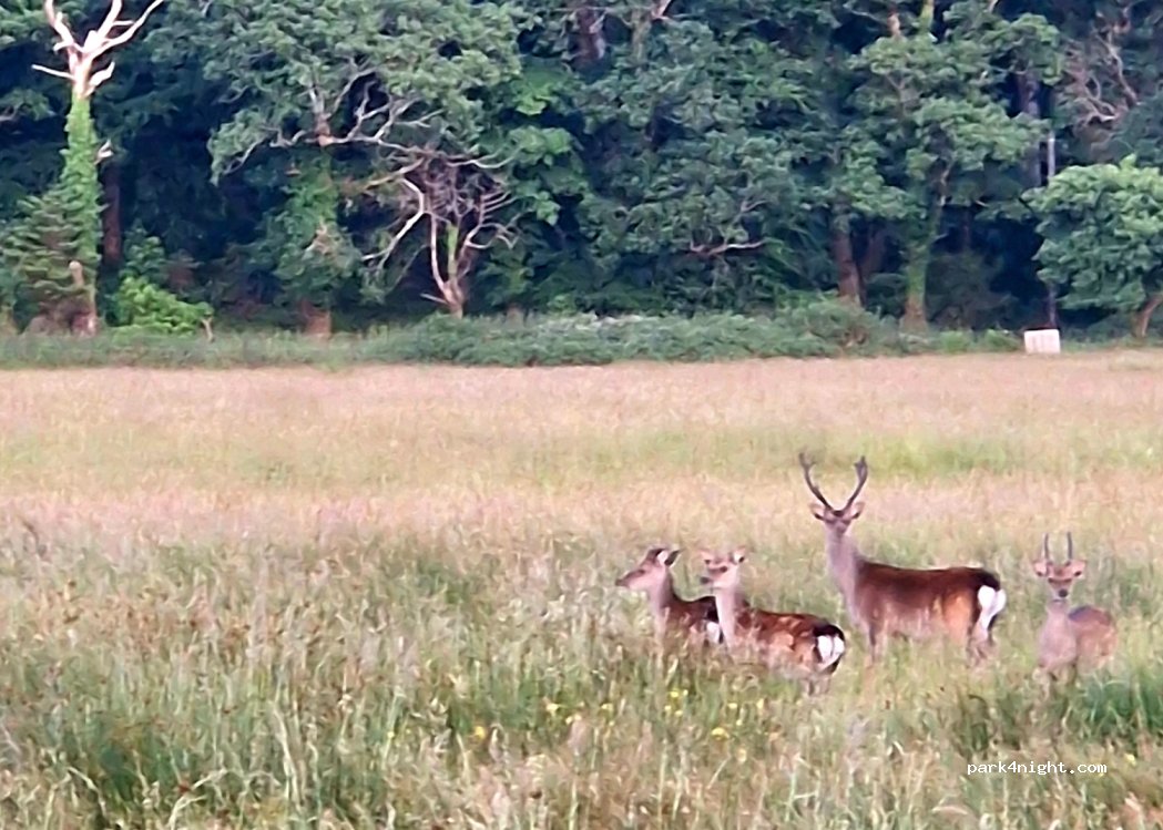 (F35 VR94) Knockrour West - — foto 2