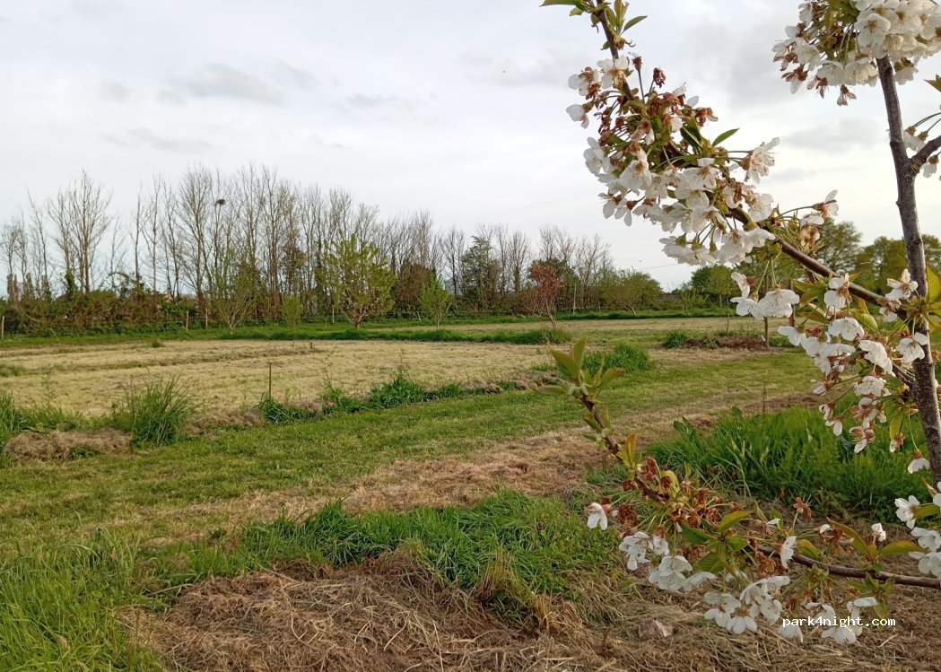 La Ferme du Petit Bois — foto 2