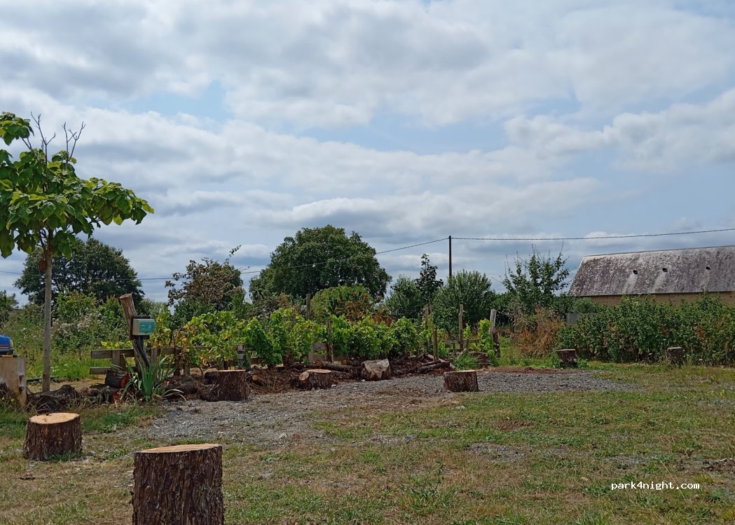 La Ferme du Petit Bois — foto 3