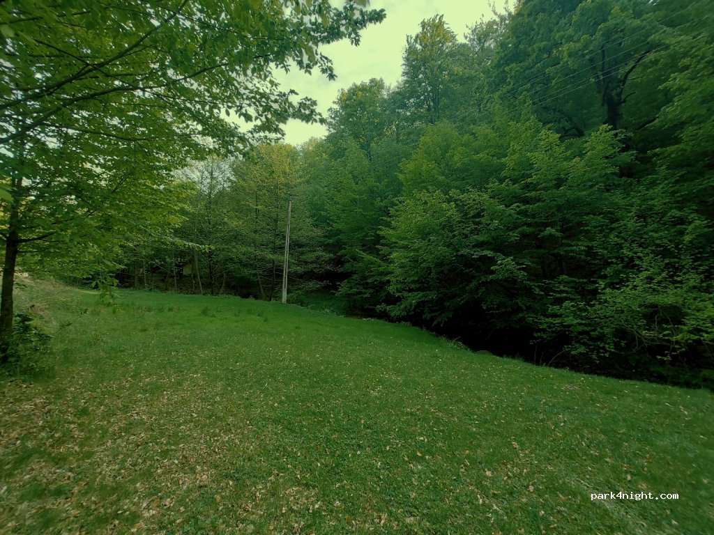 (447313) Văgaș - — foto