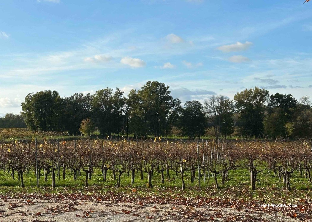 Château l'Éperon — foto 4