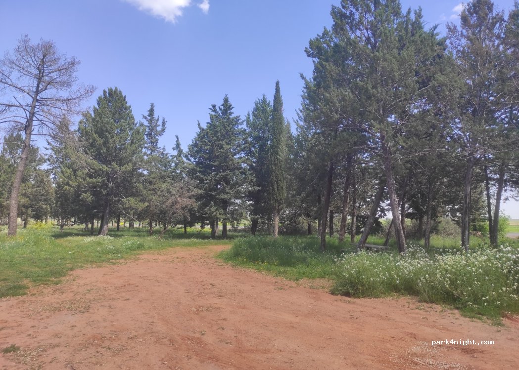 (45489) La Cabezuela - N-401 — foto