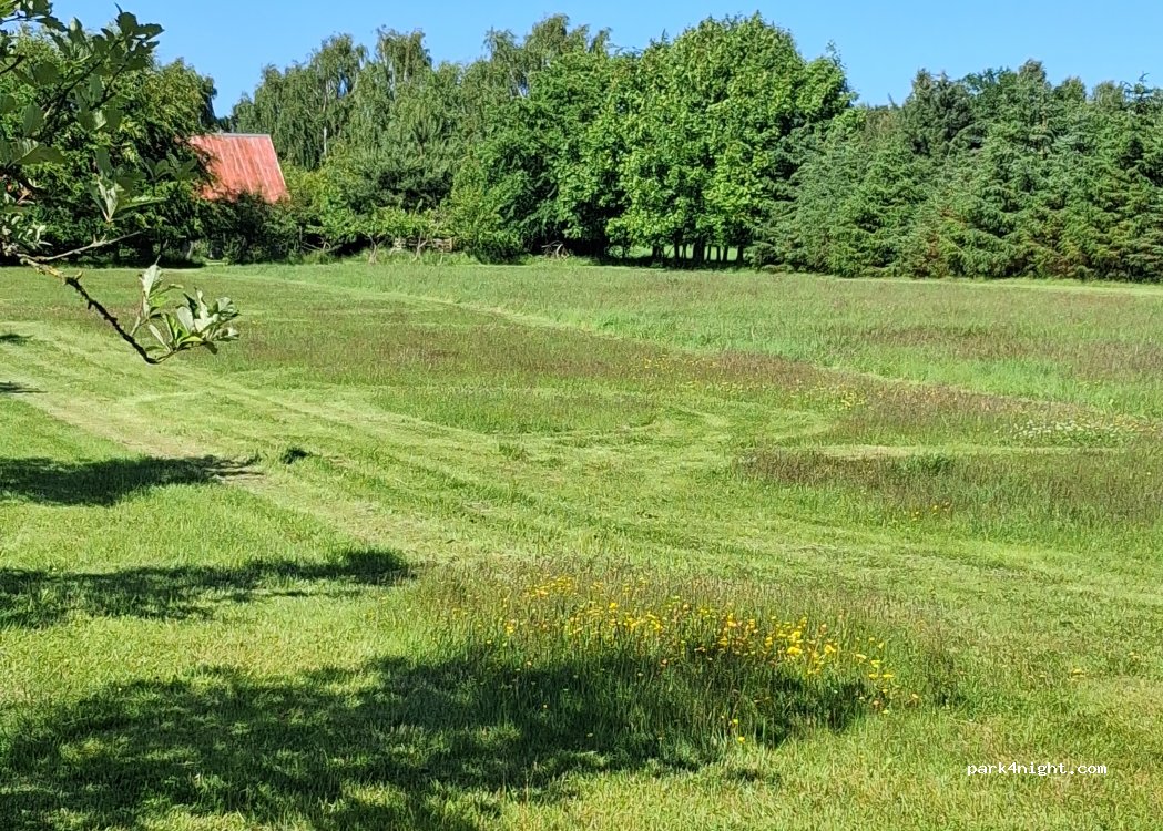 (9300) Sæby - 11 Lyngsaafælledvej — foto 5