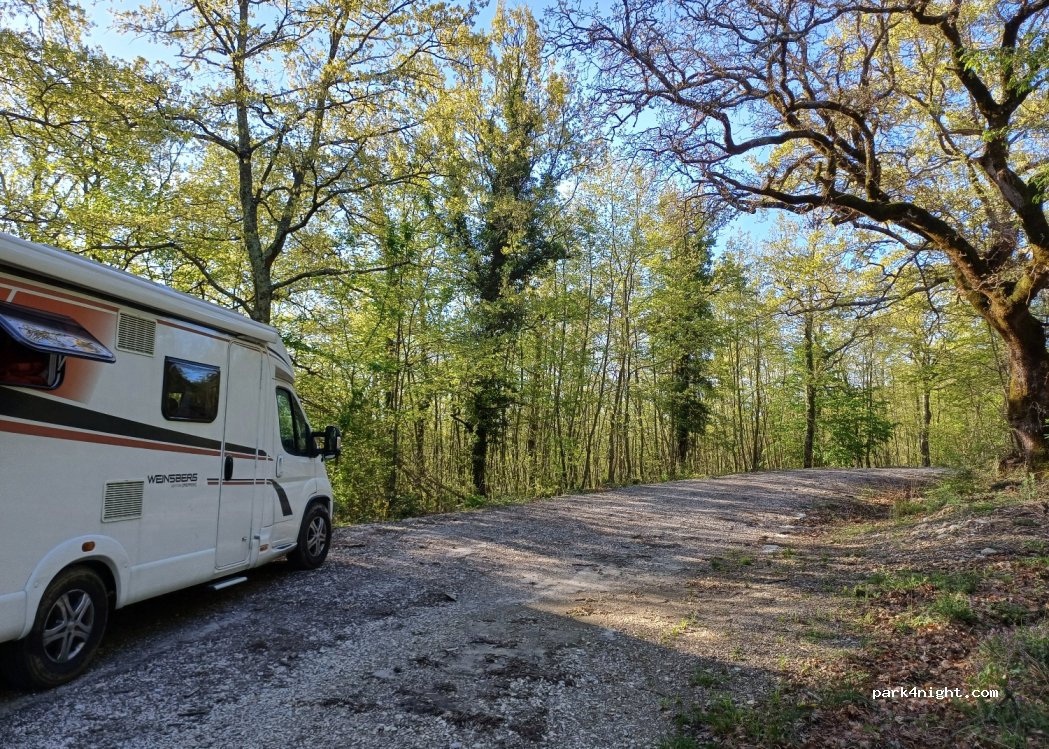 (56041) Castelnuovo di Val di Cecina - SS439 — foto