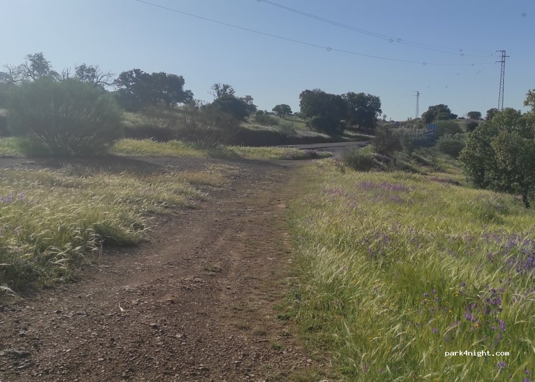 (14470) El Viso - — foto 4