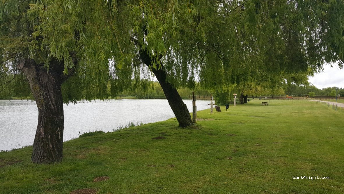 (16230) Luxé - Prairie des Loges — foto 2