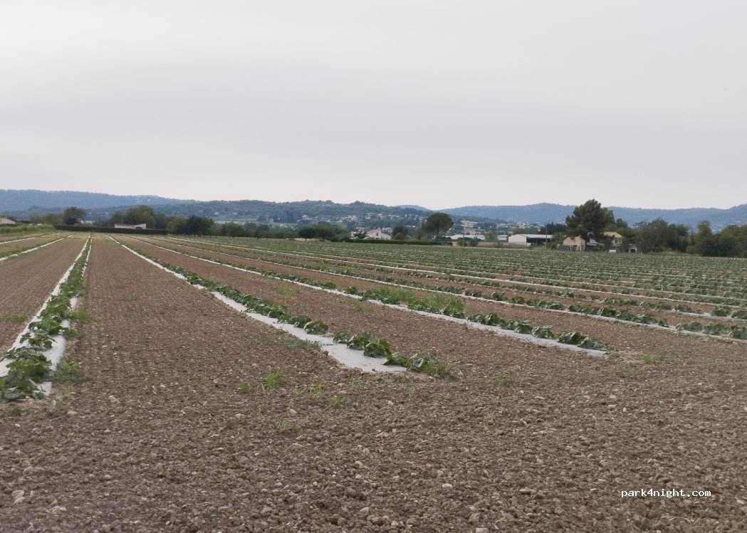 (04100) Manosque - 1111 Chemin Charles de Coulomb — foto