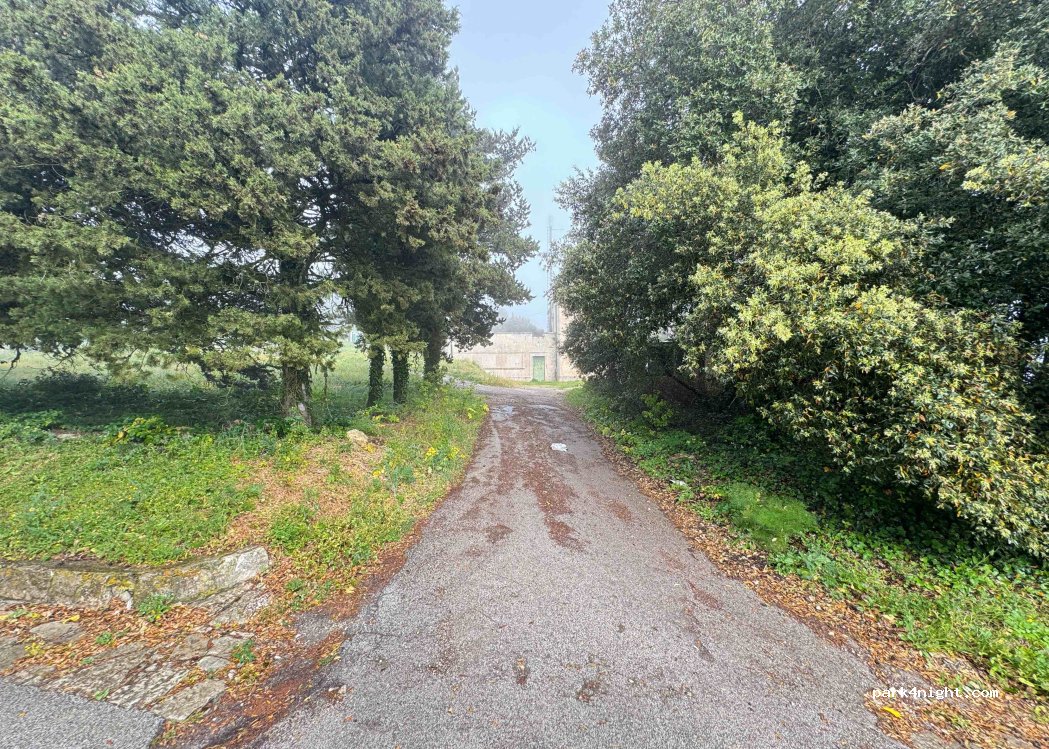(91016) Erice - 23 Strada Provinciale 3 — foto 3