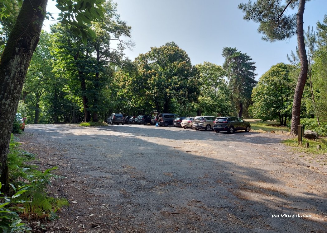 (91680) Bruyères-le-Châtel - Unnamed Road — foto 2