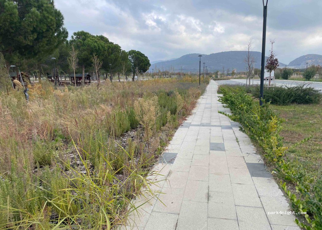 (10560) Havran - Unnamed Road — foto