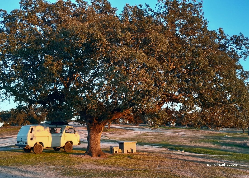 (06891) Mirandilla - Unnamed Road — foto 3