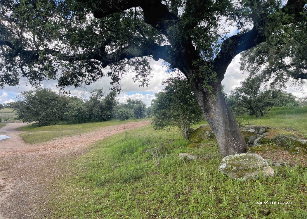 (06891) Mirandilla - Unnamed Road — foto 5
