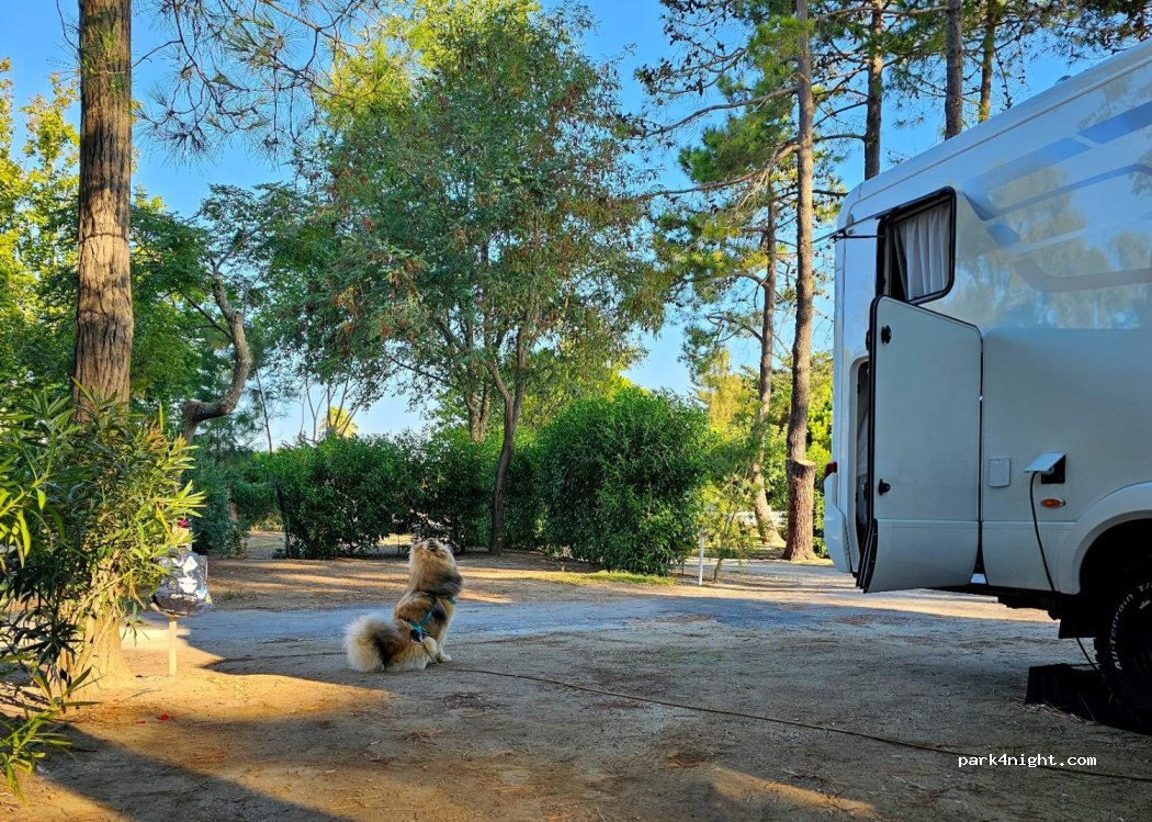 Camping Le Soleil***** — foto 2