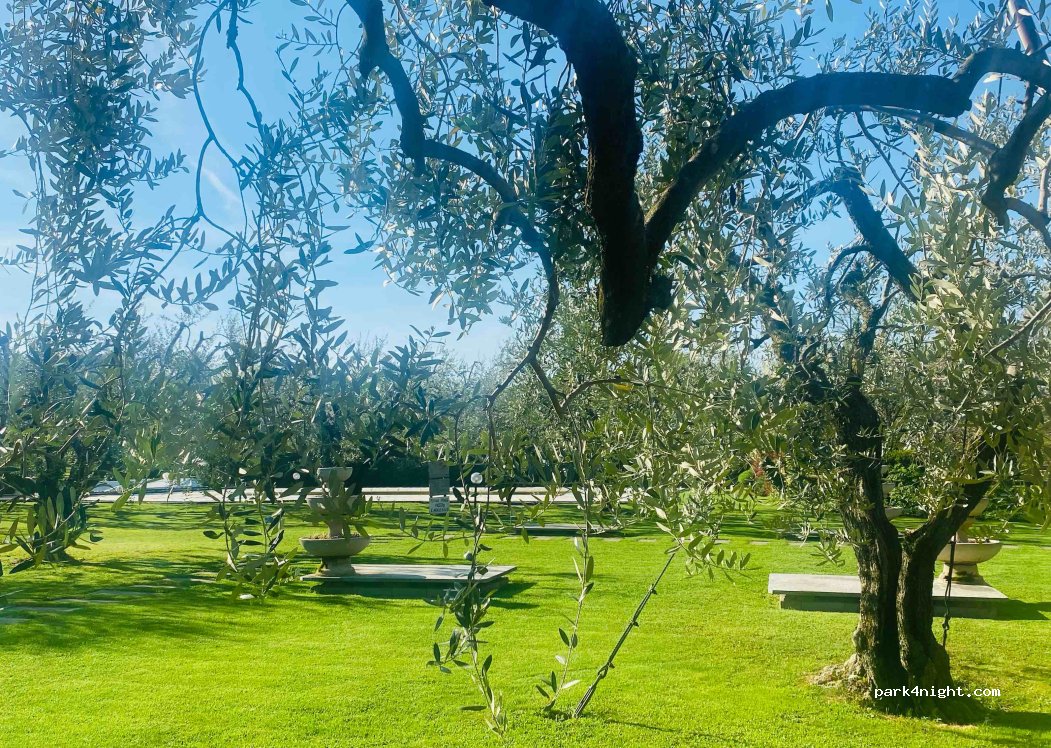 Azienda Agricola La Casetta Agricamping — foto 2