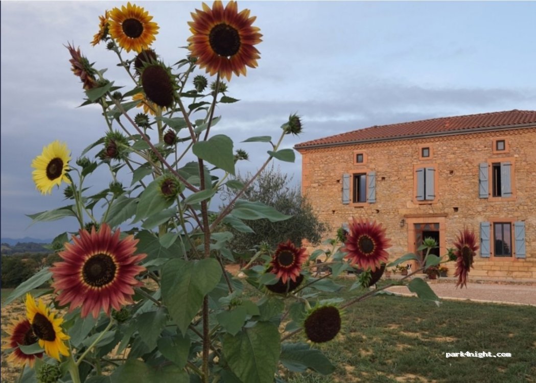 (31360) Castillon-de-Saint-Martory - 4 Charroux — foto 2