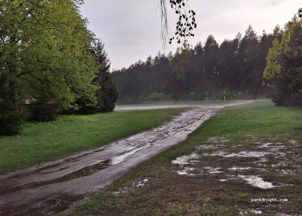 (26-434) Rożek - — foto 2