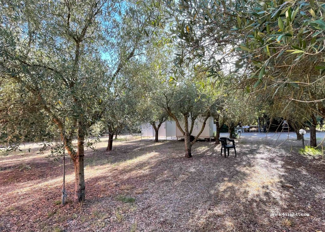 Agriturismo Saride — foto 4