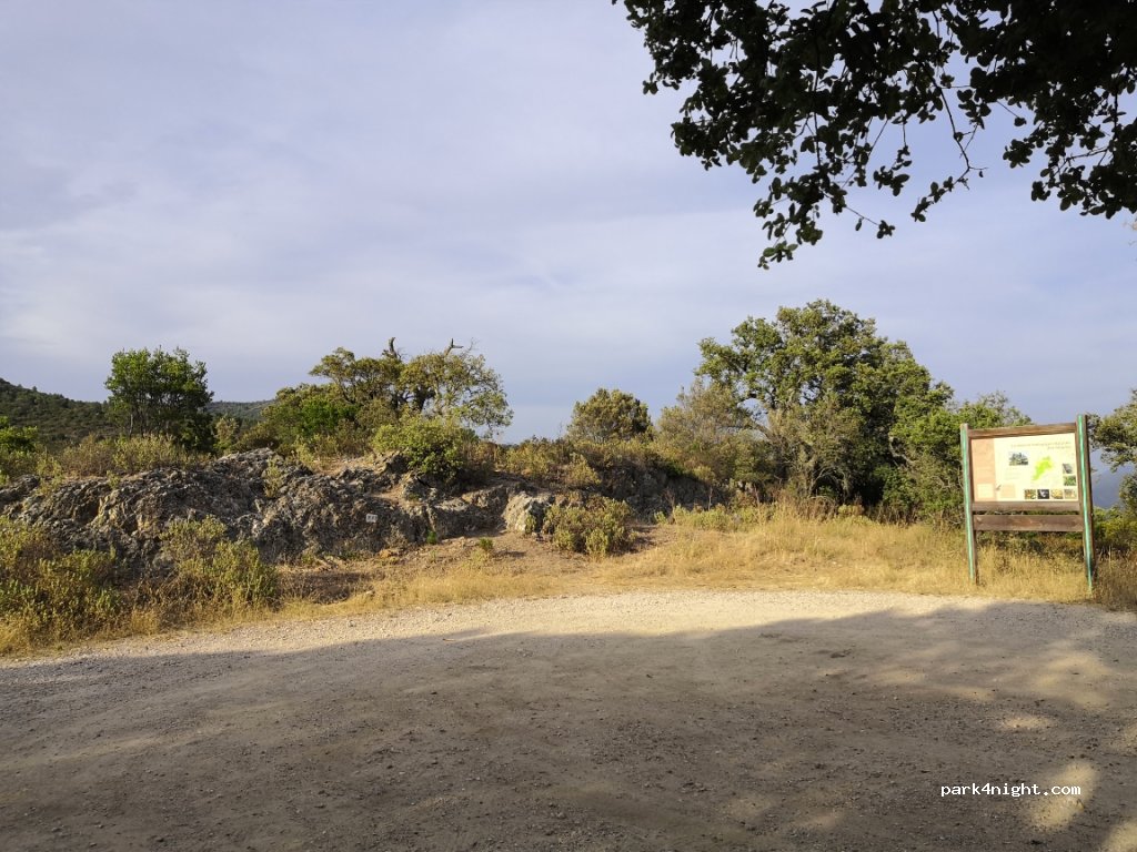 (83230) Bormes-les-Mimosas - D41 — foto 2