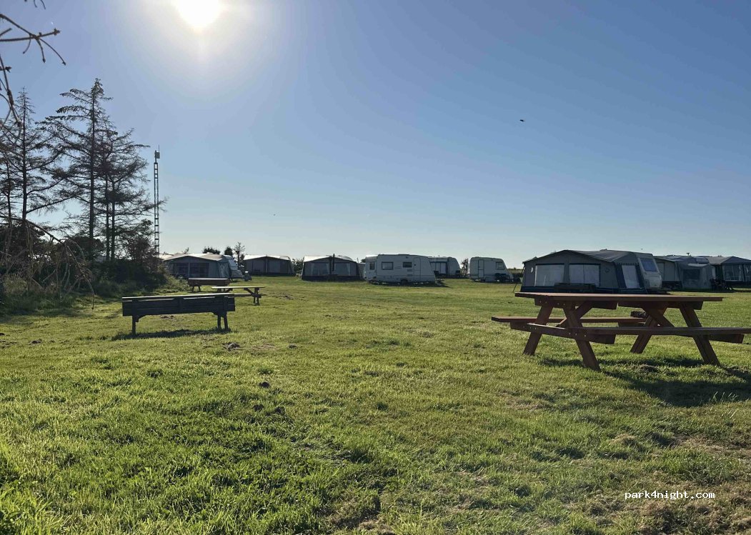 Bågø Camping — foto