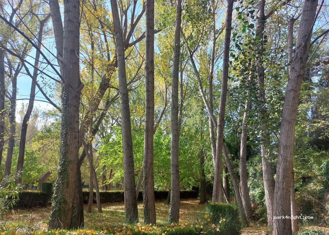 Paraje del Sargal — foto 4