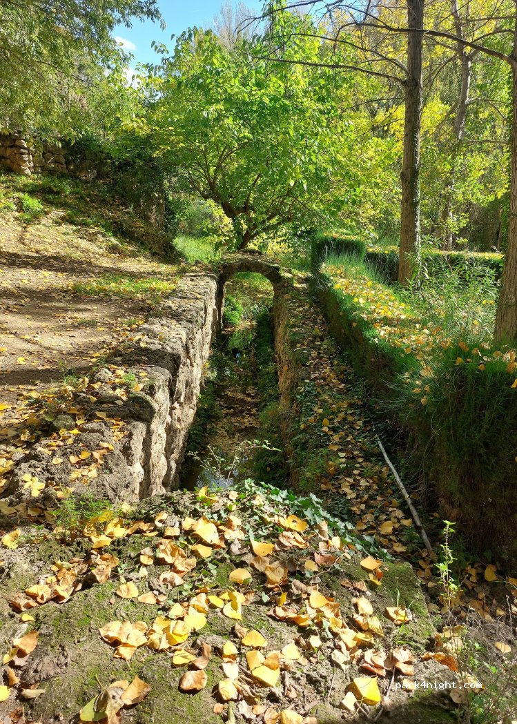 Paraje del Sargal — foto 5