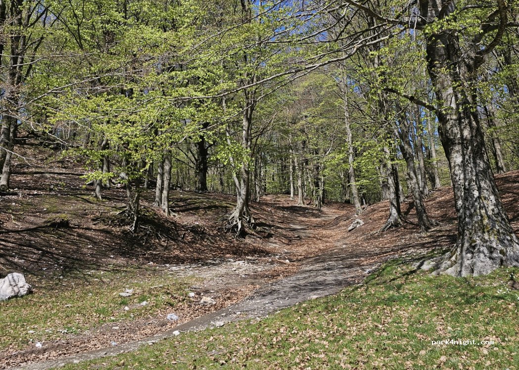 (83013) Mercogliano - — foto 3