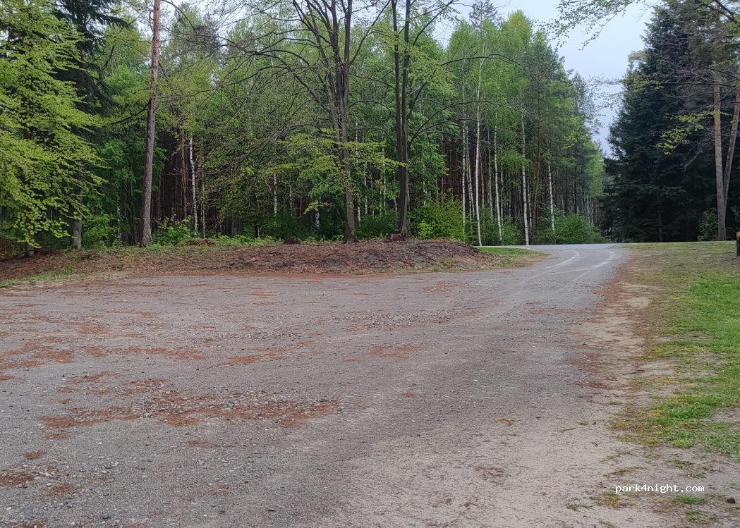 (39-321) Dobrynin - Unnamed Road — foto