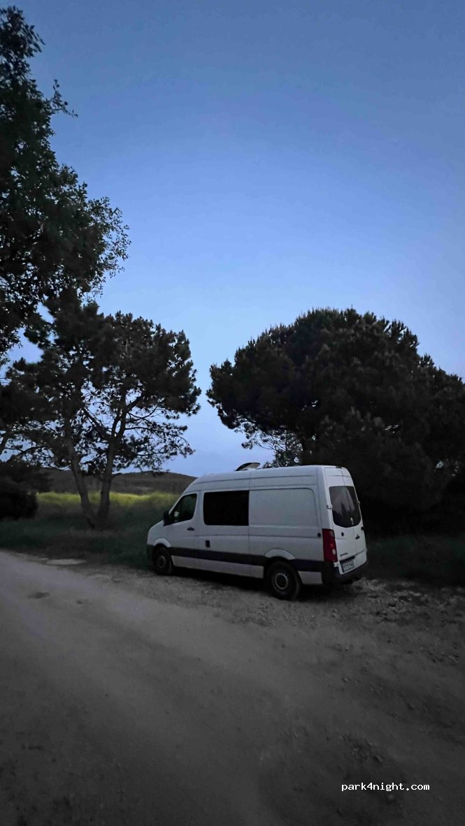 (2500-603) Nadadouro - — foto