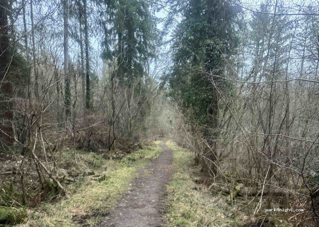 Whitemead Forest Park — foto