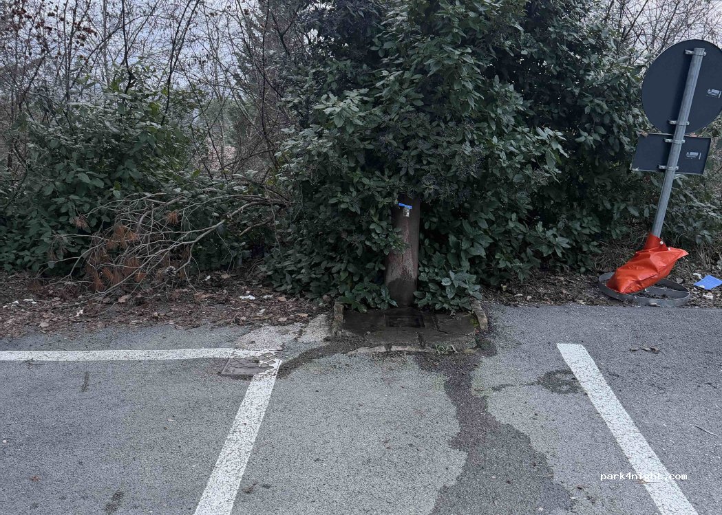 (61029) Urbino - Viale Bruno Buozzi — foto 2