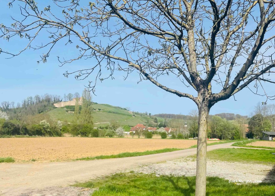 (79) Kenzingen - — foto