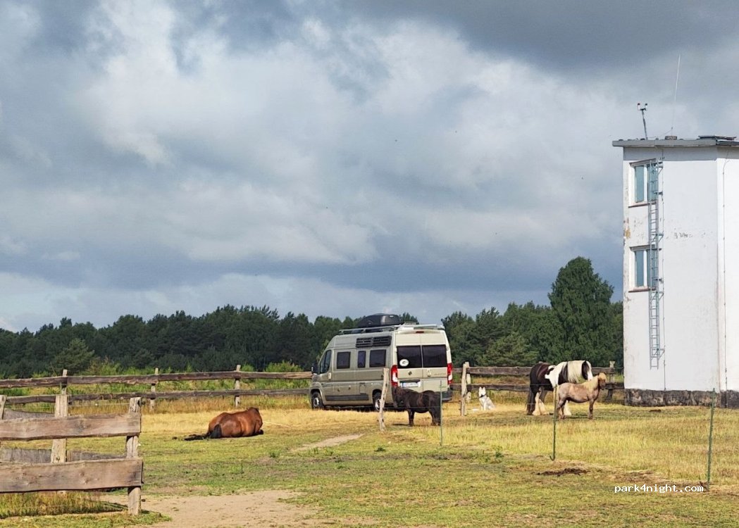 VIVIMEI Hundehotel — foto 5
