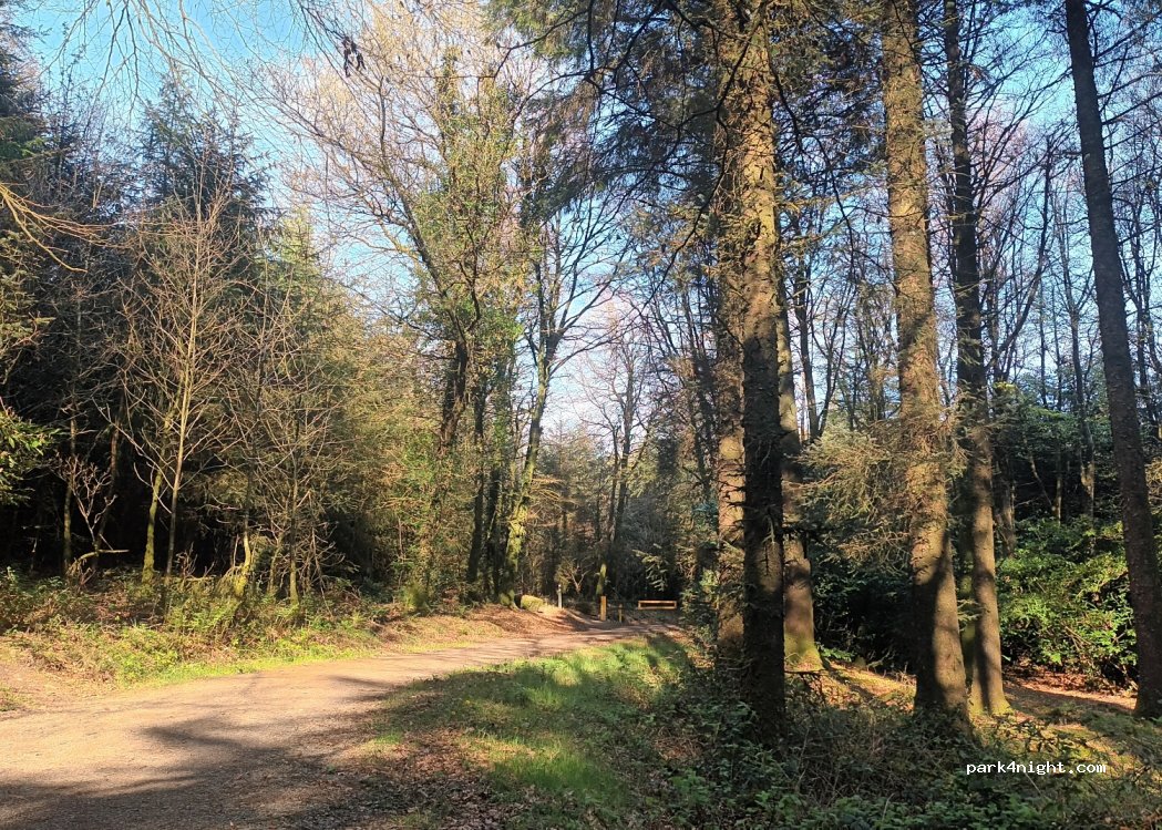 (Y35 AN27) Carrickbyrne - N25 — foto 4