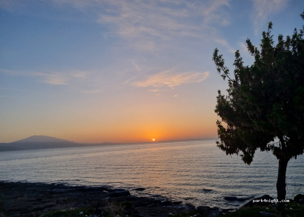 (13202) Adabağ - D965 — foto 3