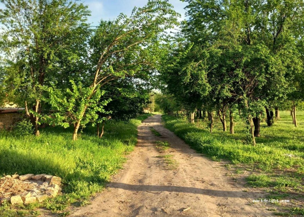 (5193) Polski Senovets - — foto