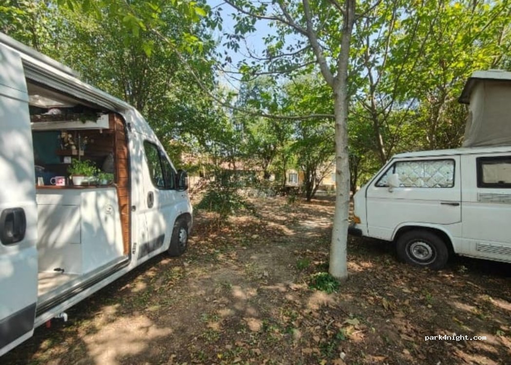(5193) Polski Senovets - — foto 4