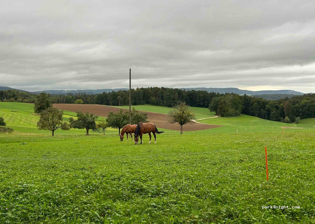Hof Abendsmatt — foto 2