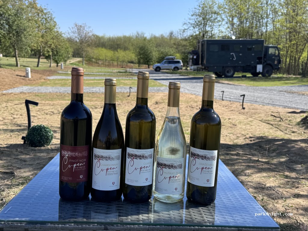 Winery Vina Cupen — foto