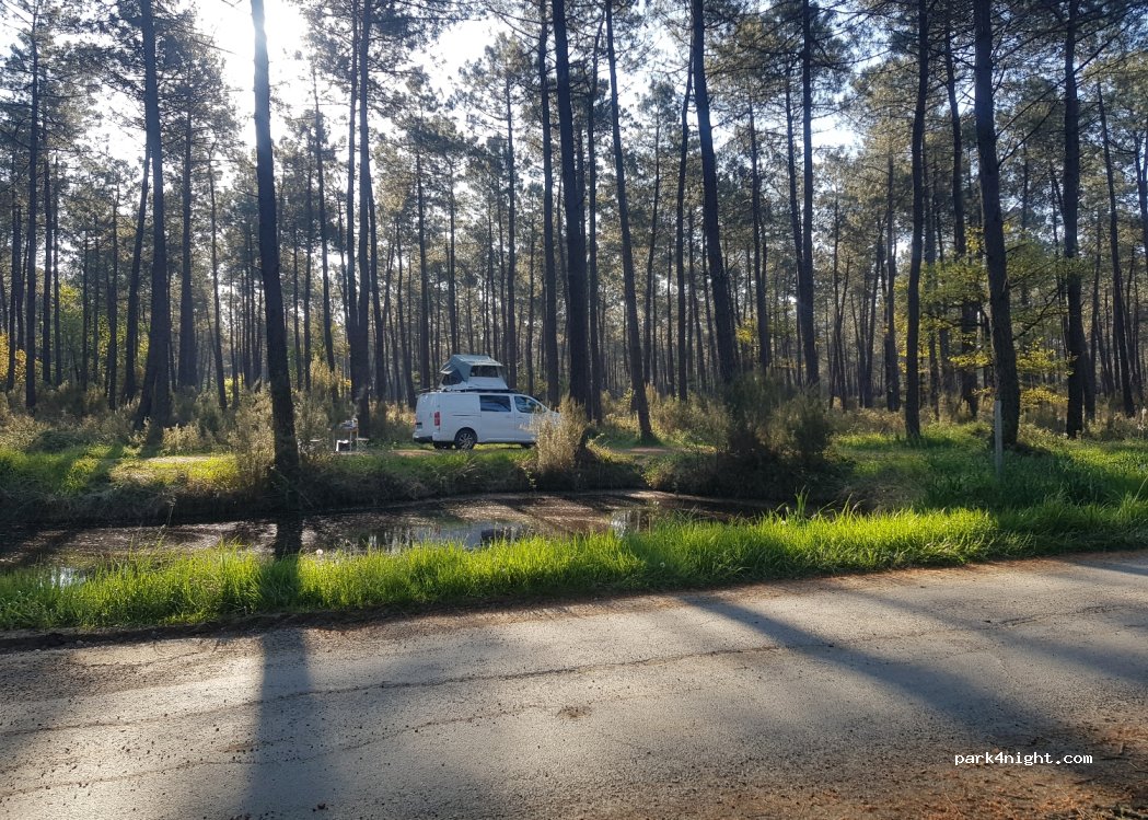 (86130) Saint-Georges-lès-Baillargeaux - — foto